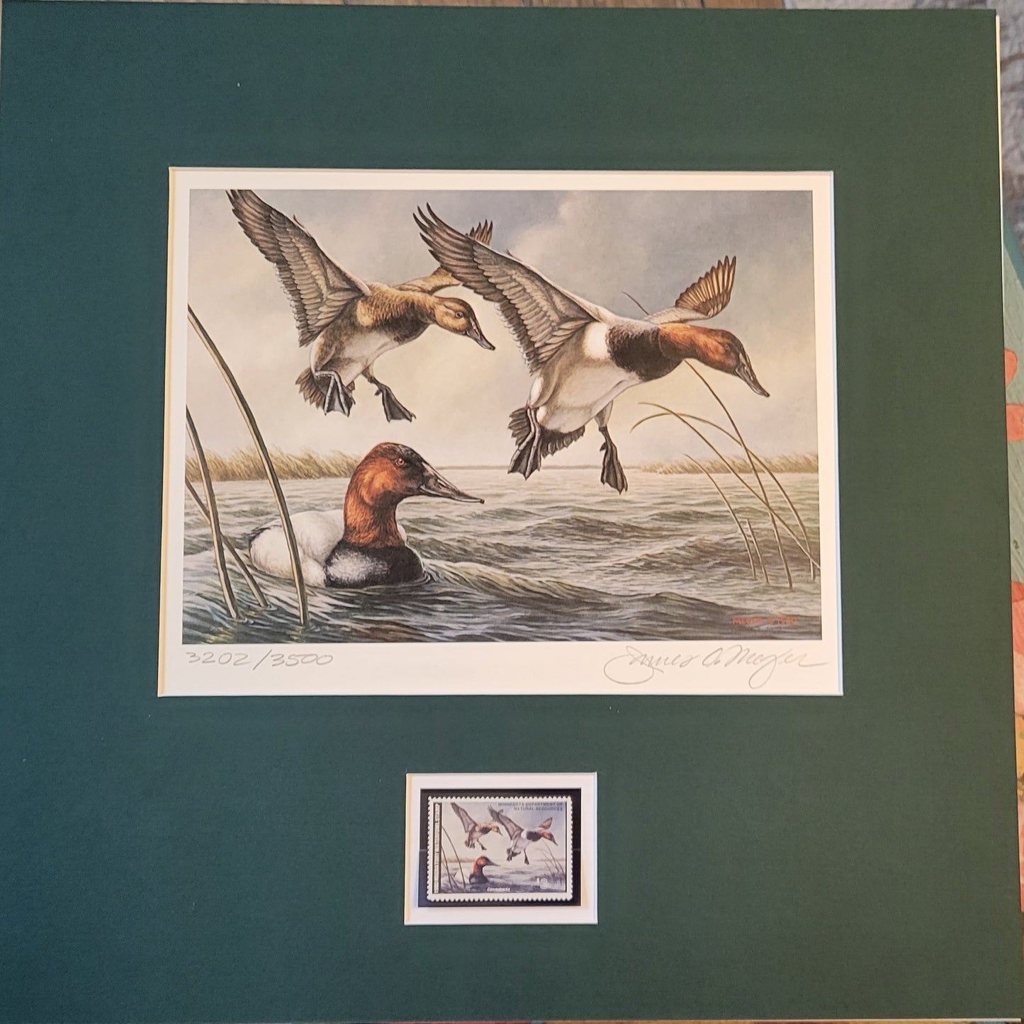 Custom Duck Order