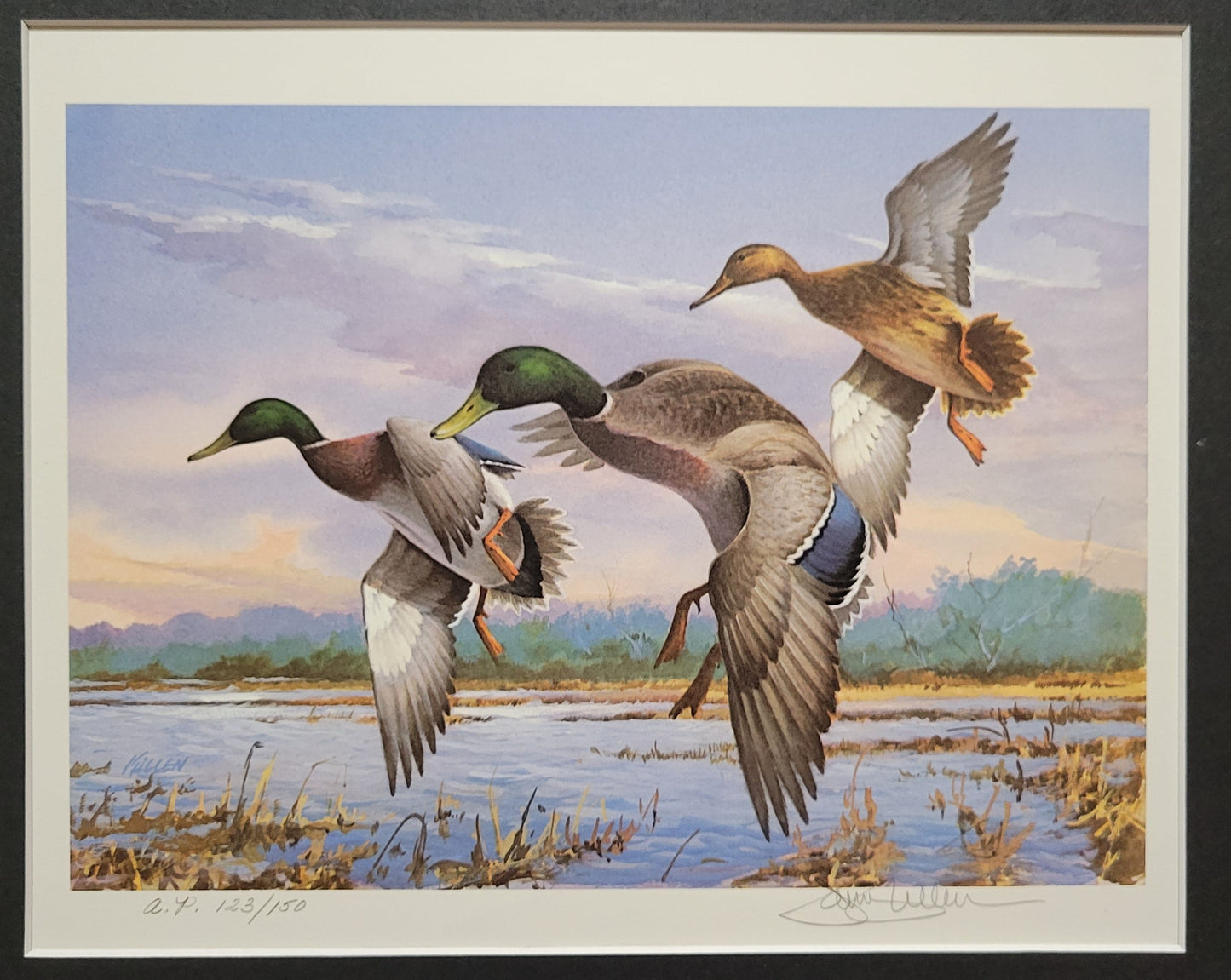 Vintage Limited Edition Duck Stamp, Signed and Matted Duck Print. Georgia #2 Circa 1986.