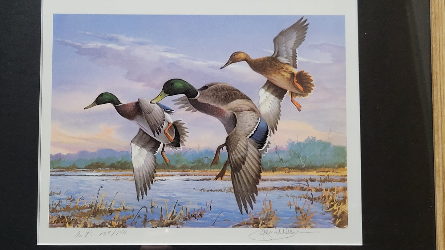 Vintage Limited Edition Duck Stamp and Signed Print. Second Georgia Duck Stamp (GA2) circa 1986.