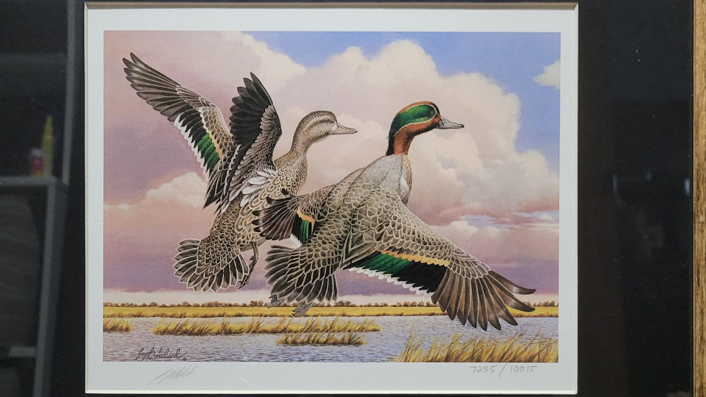 Vintage Limited Edition Duck Stamp and Signed Print. First Kansas Duck Stamp (KS1) circa 1987.