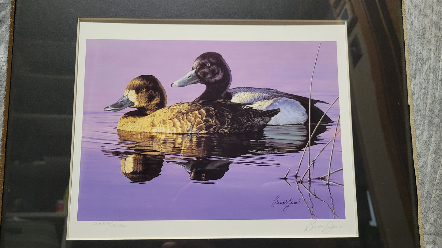 Vintage Limited Edition Duck Stamp and Signed Print. Tenth Minnesota (1986) or Fourteenth Minnesota (1990).