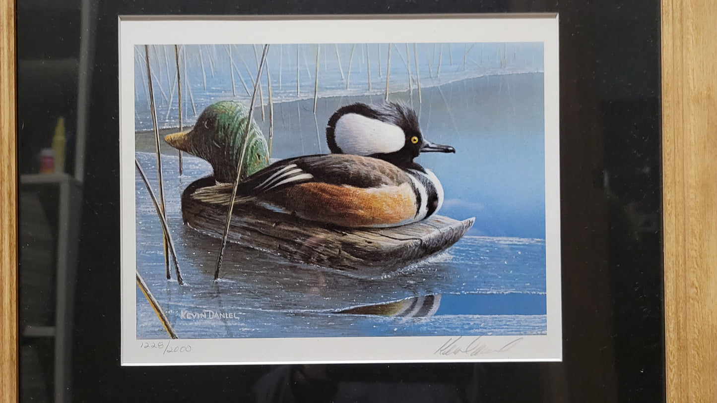 Vintage Limited Edition Duck Stamp and Signed Print. Tenth Minnesota (1986) or Fourteenth Minnesota (1990).