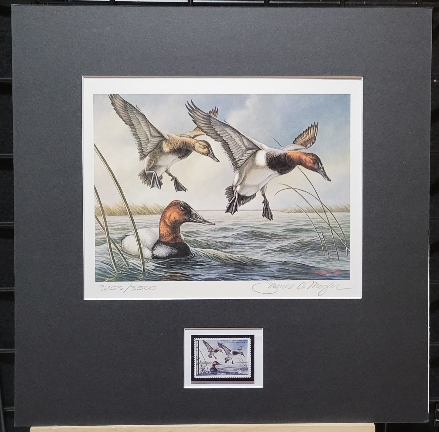 Vintage Limited Edition Duck Stamp, Signed and Matted Duck Print. Minnesota #4 Circa 1980.
