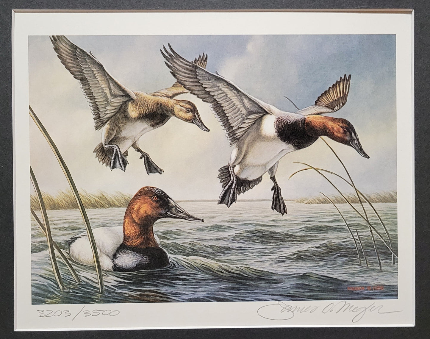 Vintage Limited Edition Duck Stamp, Signed and Matted Duck Print. Minnesota #4 Circa 1980.