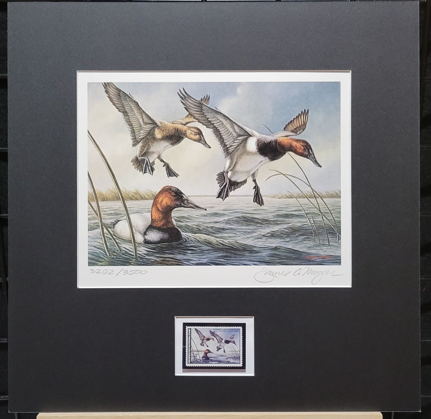 Vintage Limited Edition Duck Stamp, Signed and Matted Duck Print. Minnesota #4 Circa 1980.