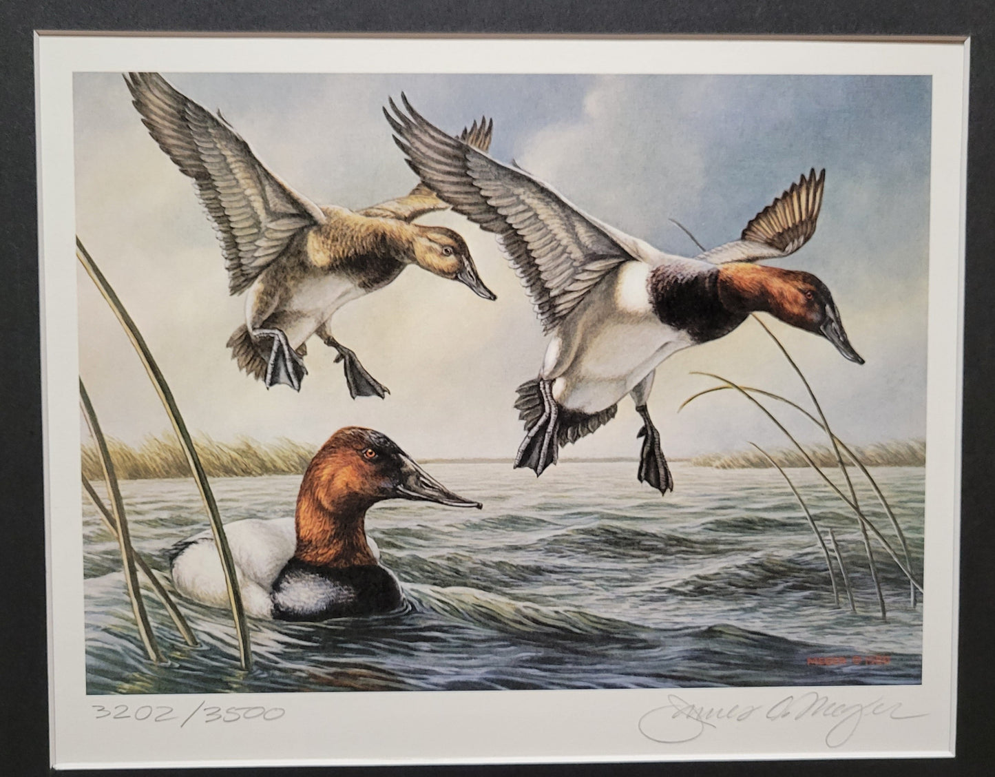 Vintage Limited Edition Duck Stamp, Signed and Matted Duck Print. Minnesota #4 Circa 1980.