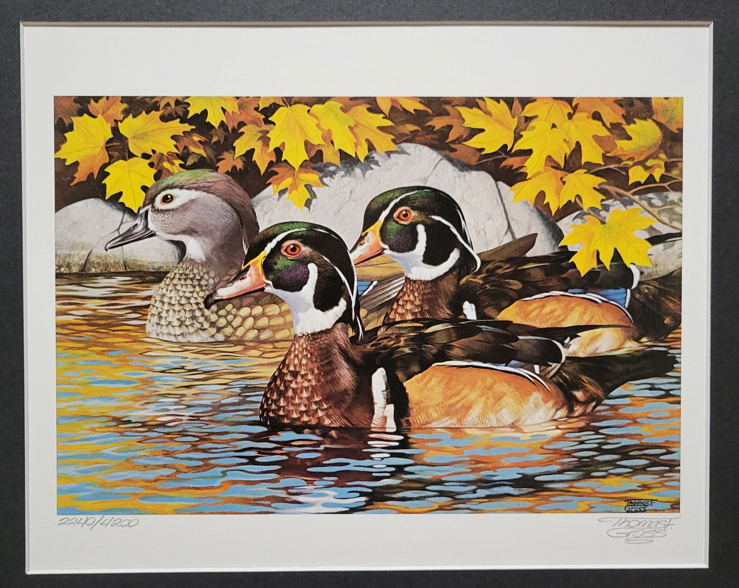 Vintage Limited Edition Duck Stamp, Signed and Matted Duck Print. Minnesota #8 Circa 1984.