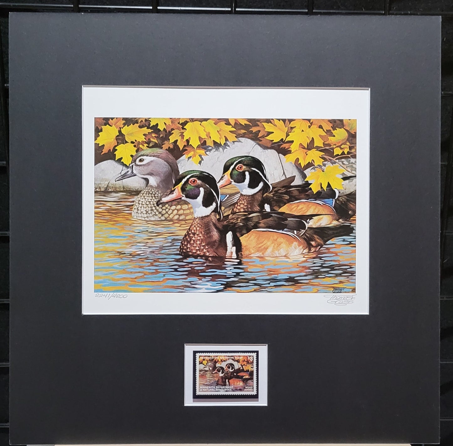 Vintage Limited Edition Duck Stamp, Signed and Matted Duck Print. Minnesota #8 Circa 1984.