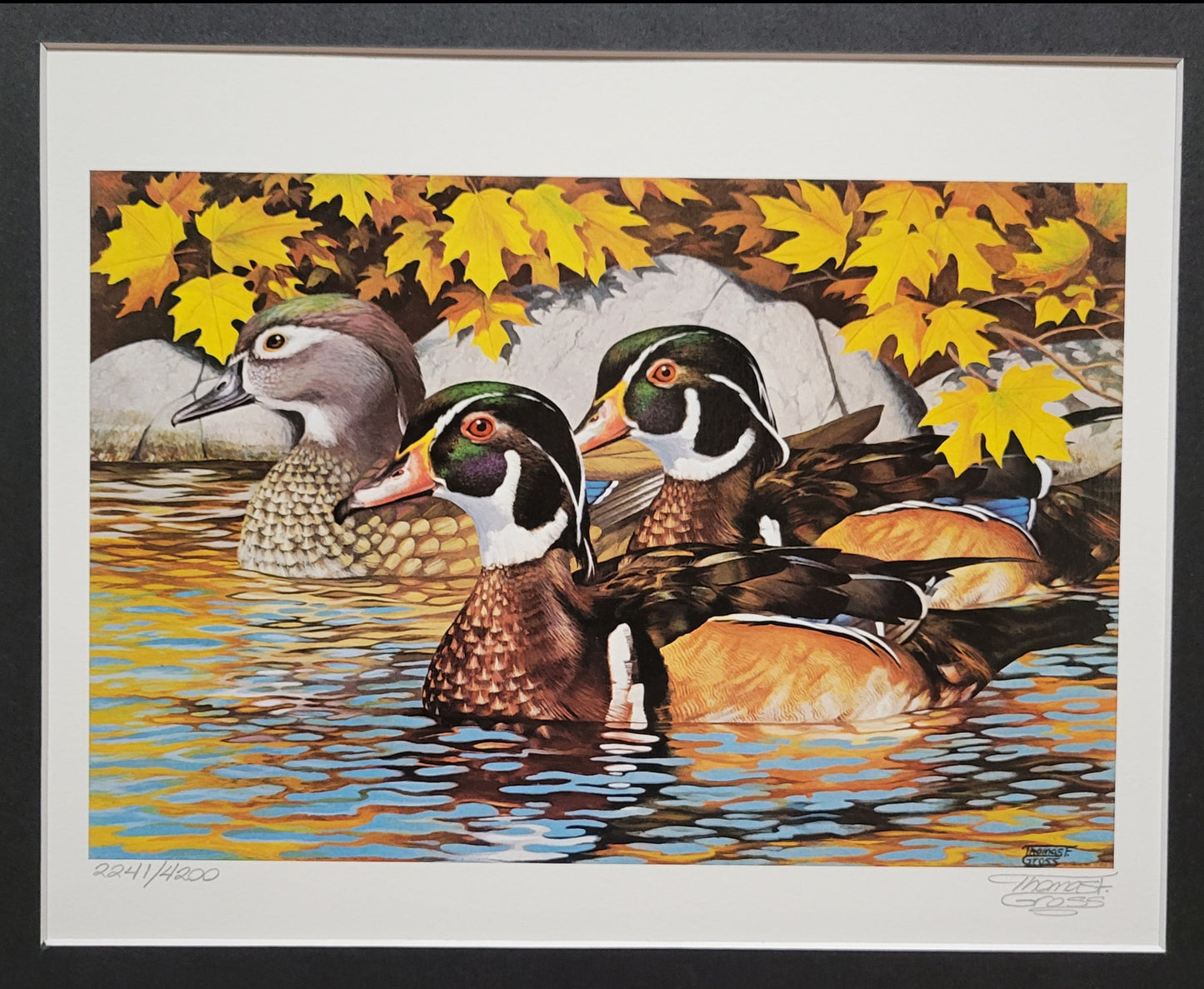 Vintage Limited Edition Duck Stamp, Signed and Matted Duck Print. Minnesota #8 Circa 1984.