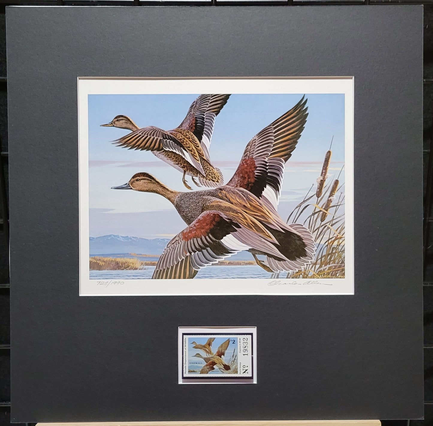 Vintage Limited Edition Duck Stamp, Signed and Matted Duck Print. Nevada #5 Circa 1983.
