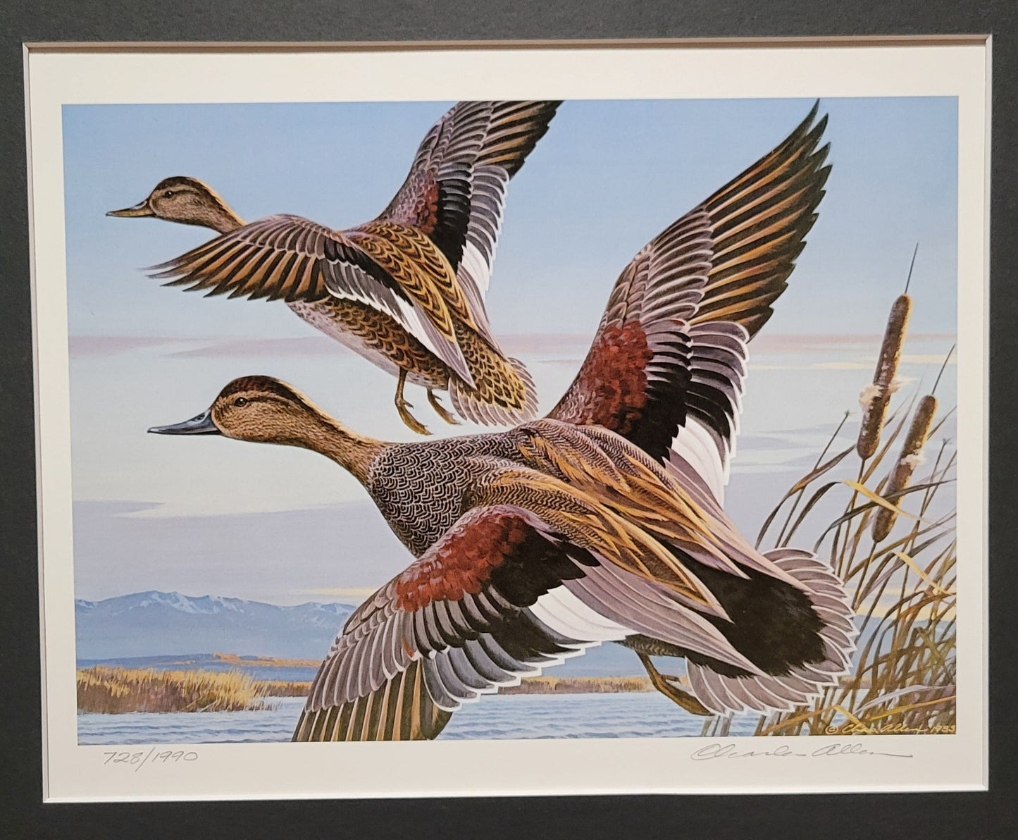Vintage Limited Edition Duck Stamp, Signed and Matted Duck Print. Nevada #5 Circa 1983.