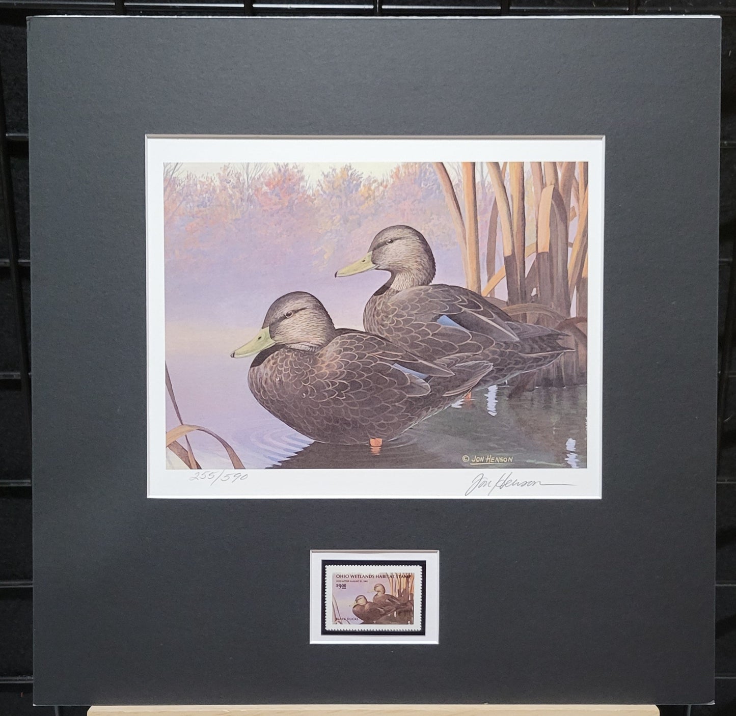 Vintage Limited Edition Duck Stamp, Signed and Matted Duck Print. Ohio #9 Circa 1990.