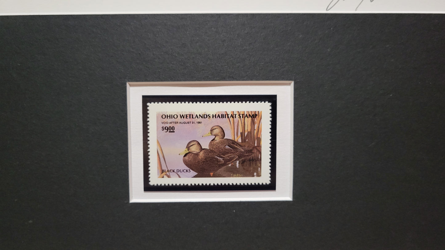 Vintage Limited Edition Duck Stamp, Signed and Matted Duck Print. Ohio #9 Circa 1990.