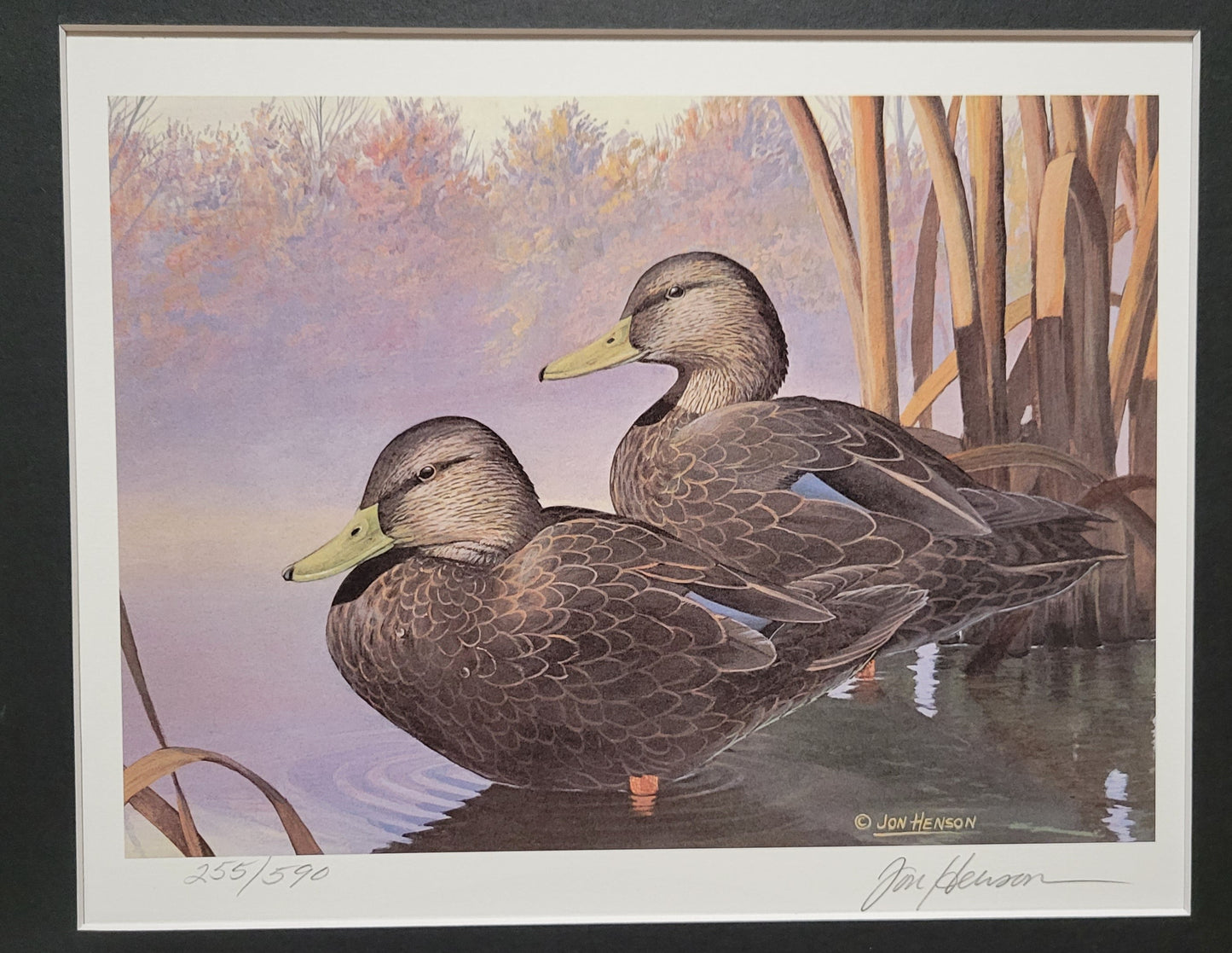 Vintage Limited Edition Duck Stamp, Signed and Matted Duck Print. Ohio #9 Circa 1990.