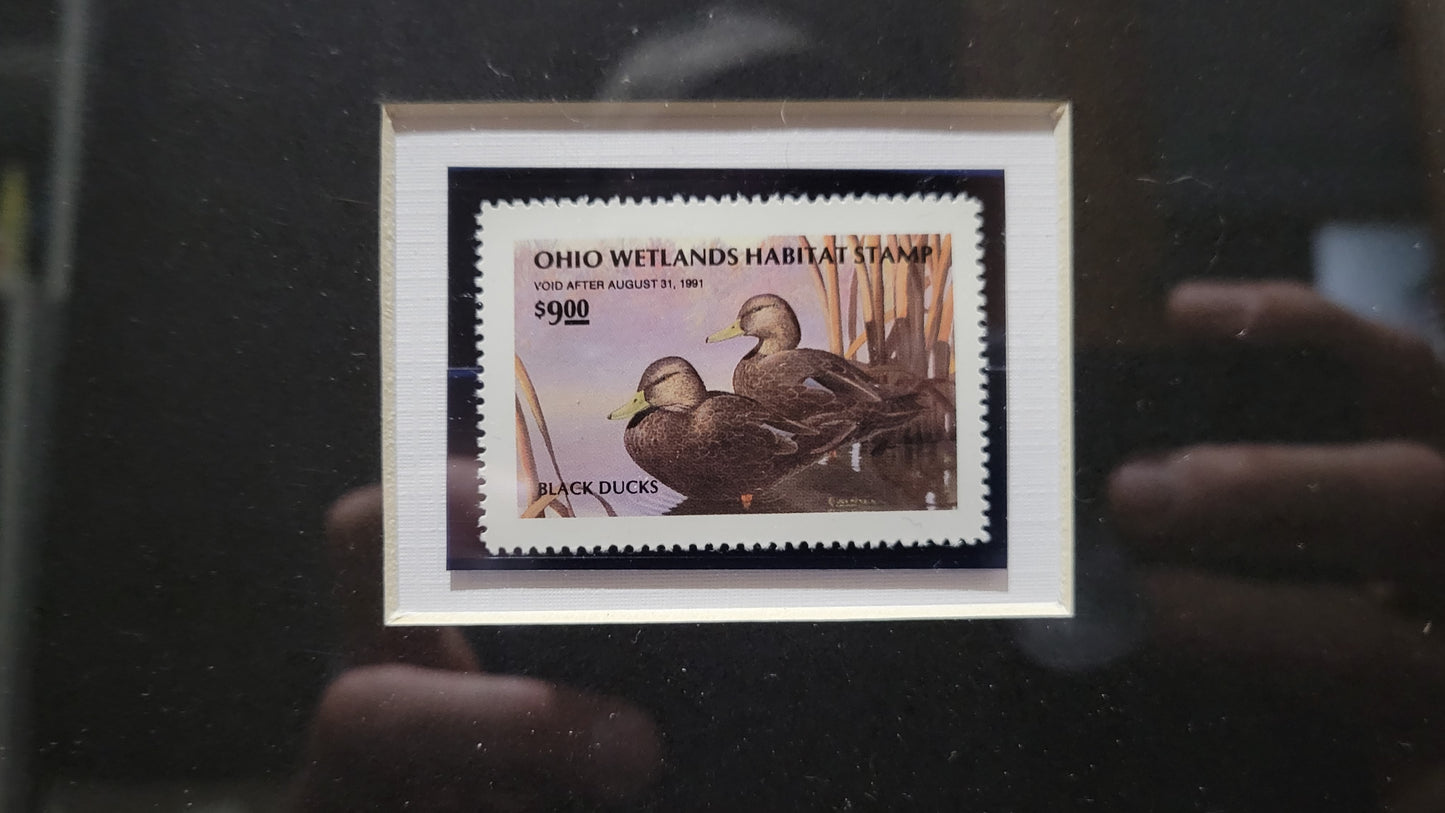 Vintage Limited Edition Duck Stamp and Signed Print. Ninth Ohio Duck Stamp (OH9) circa 1990.
