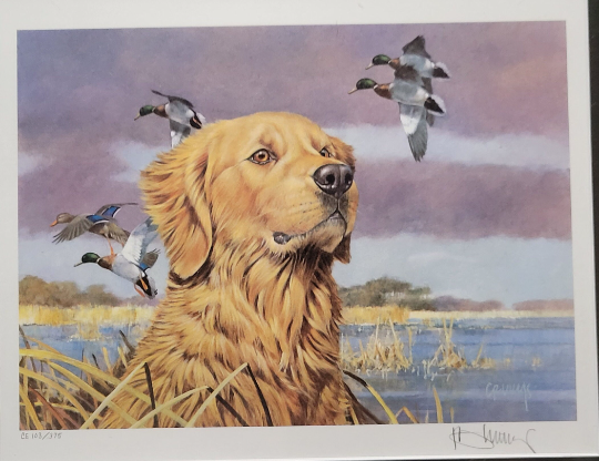 Vintage Limited Edition Oregon Duck Stamp and Signed Print. OR 7 or OR 8