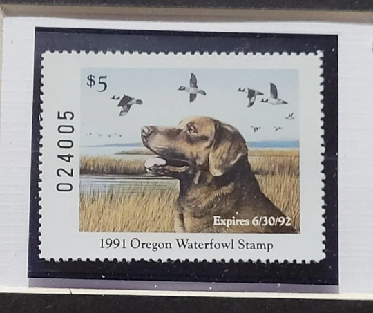 Vintage Limited Edition Oregon Duck Stamp and Signed Print. OR 7 or OR 8