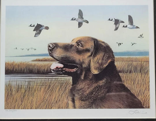 Vintage Limited Edition Oregon Duck Stamp and Signed Print. OR 7 or OR 8