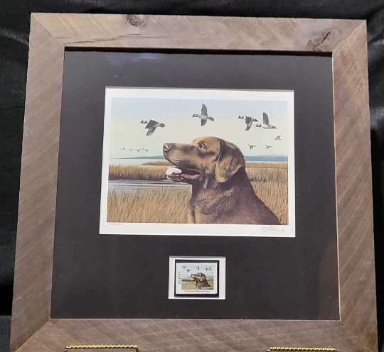 Vintage Limited Edition Oregon Duck Stamp and Signed Print. OR 7 or OR 8