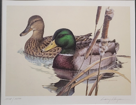 Vintage Limited Edition Texas Duck Stamps & Signed Print. TX 1 or TX 2