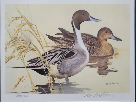 Vintage Limited Edition Texas Duck Stamps & Signed Print. TX 1 or TX 2
