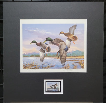 Vintage Limited Edition Duck Stamp, Signed and Matted Duck Print. Georgia #2 Circa 1986.