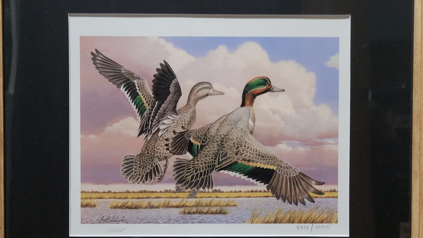 Vintage Limited Edition Duck Stamp and Signed Print. First Kansas Duck Stamp (KS1) circa 1987.