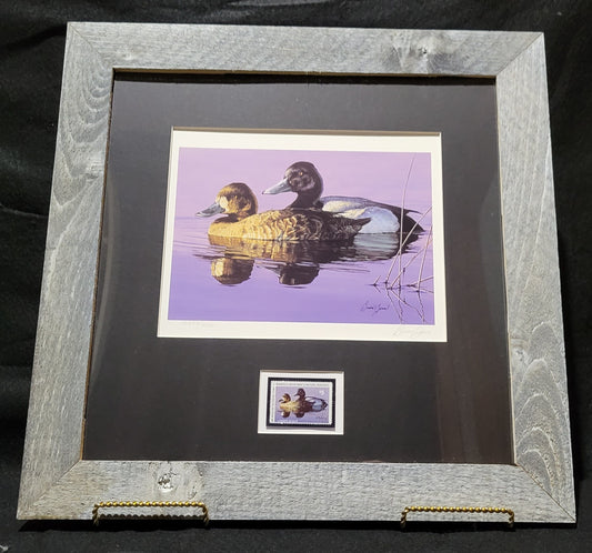 Vintage Limited Edition Duck Stamp and Signed Print. Tenth Minnesota (1986) or Fourteenth Minnesota (1990).