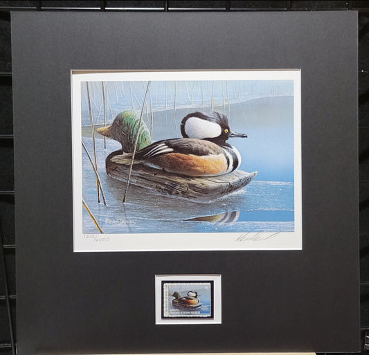 Vintage Limited Edition Duck Stamp, Signed and Matted Duck Print. Minnesota #14 Circa 1990.