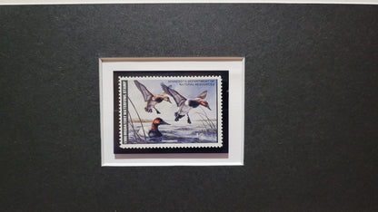 Vintage Limited Edition Duck Stamp, Signed and Matted Duck Print. Minnesota #4 Circa 1980.