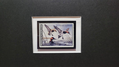 Vintage Limited Edition Duck Stamp, Signed and Matted Duck Print. Minnesota #4 Circa 1980.