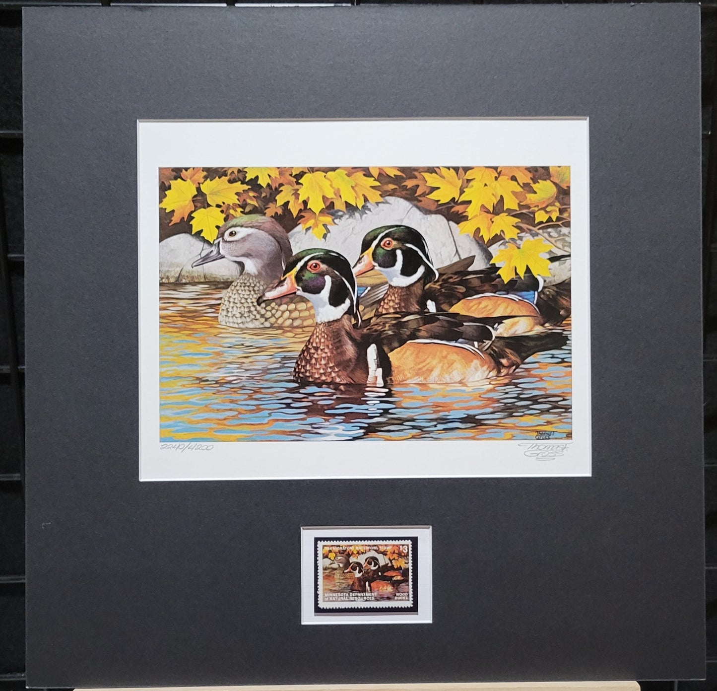 Vintage Limited Edition Duck Stamp, Signed and Matted Duck Print. Minnesota #8 Circa 1984.